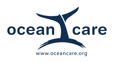 Forma futura ocean caer